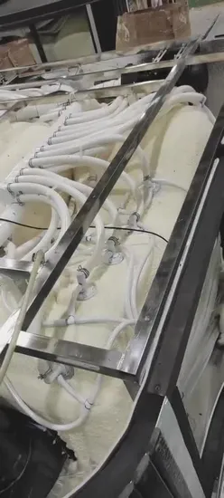 Large Swimming Pool Endless Surf Swim SPA with Whirlpool